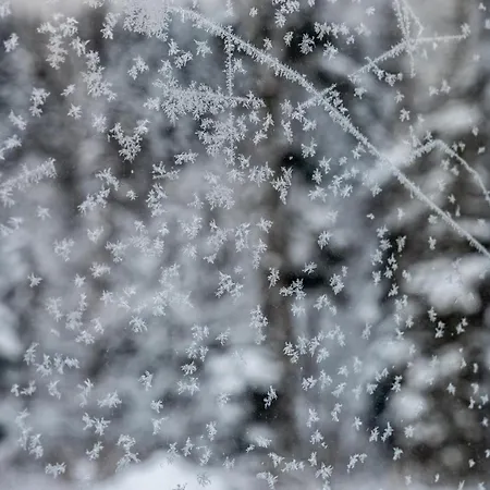 Appartement Mahdgut Ramsau