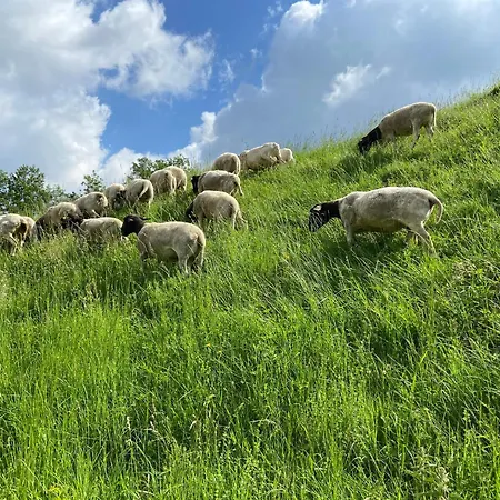 Mahdgut Appartement *