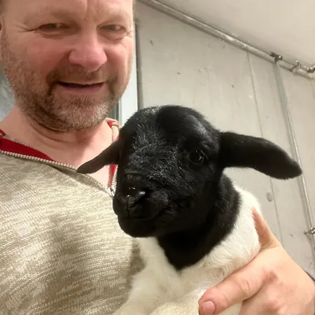 Mahdgut Appartement Ramsau