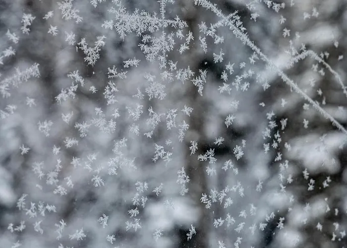 Appartement Mahdgut Ramsau