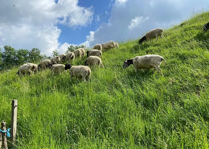 Mahdgut Appartement *