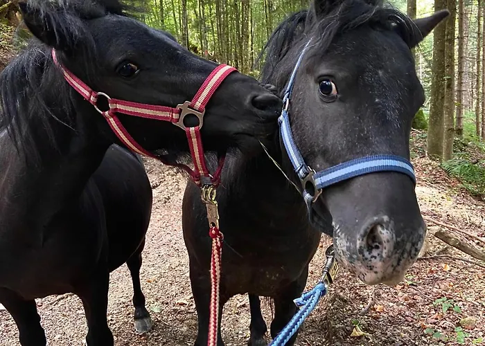 Mahdgut Apartament *