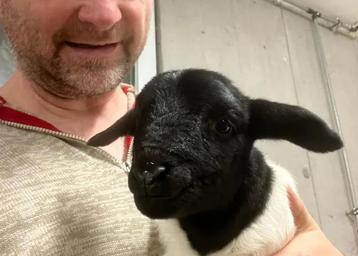 Mahdgut Appartement Ramsau